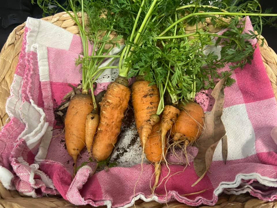 Kids on Gallaghers Child Care Centre